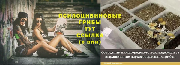 амф Зеленокумск