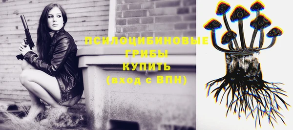 амф Зеленокумск